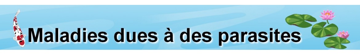 Après avoir pris le médicament des helminthes fait mal le ventre