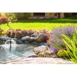 Bassin de jardin : Filtral UVC 6000 OASE, Pompe Oase bassin de jardin