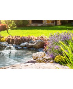 Bassin de jardin : Filtral UVC 6000 OASE, Pompe Oase bassin de jardin