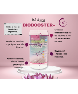 Bassin de jardin : Biobooster+ 3000, Traitement Aquatic Science