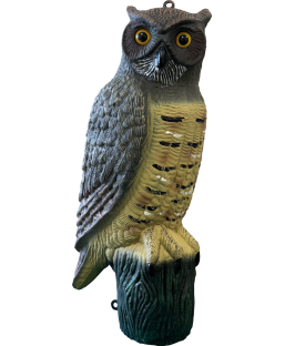 Bassin de jardin : SF DECO BIRD HIBOU (50x24x23cm), Figurines