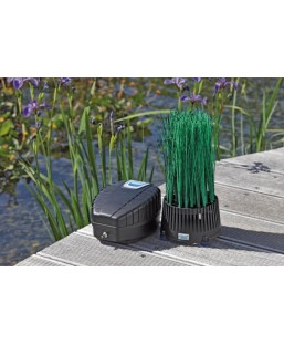 Bassin de jardin : OASE PACK COMPLET OXYTEC SET 500, Pompe à air bassin