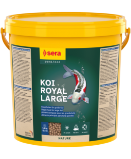 Bassin de jardin : SERA Koi Royal large 21L (5.80 KG), Nourriture Serapond